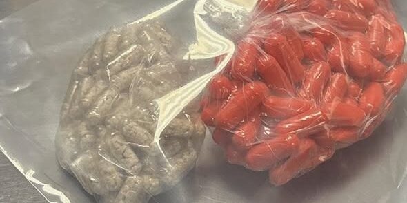 DRUG BUST 1-20-26 WASH CO SHERIFF